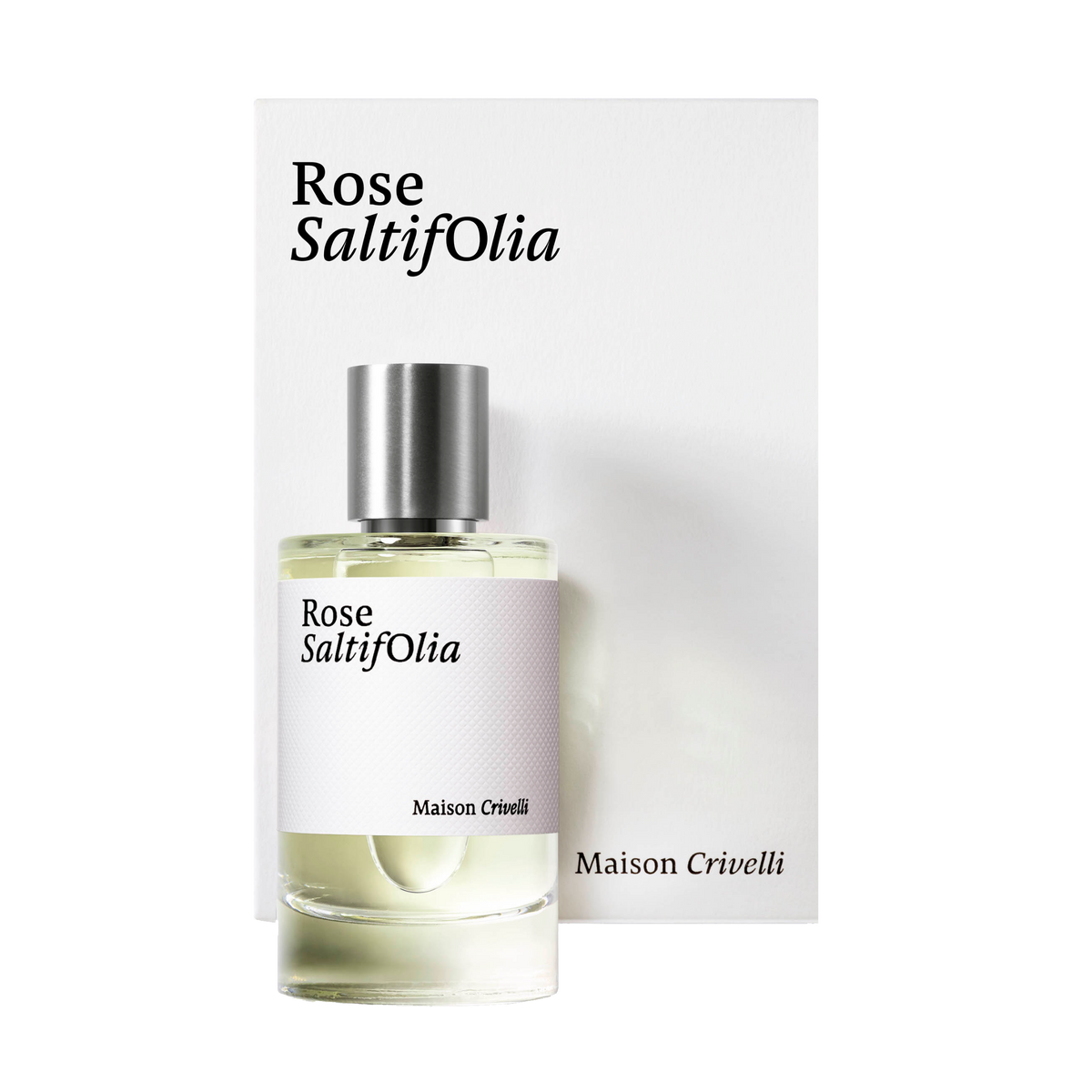 Rose Saltifolia