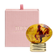 Almond Harmony