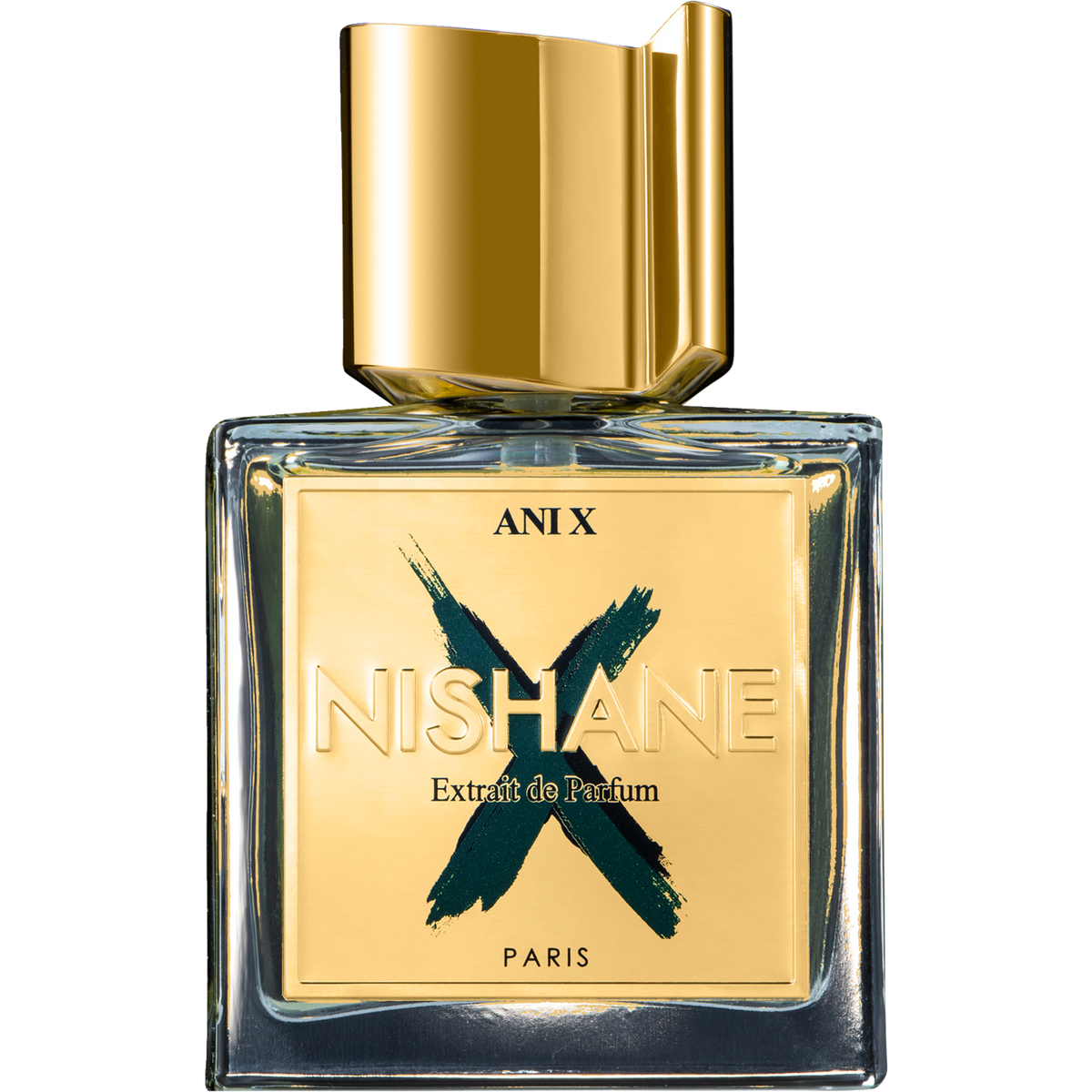 Ani X