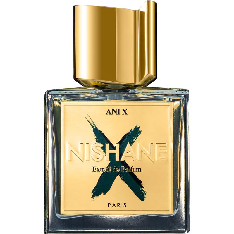 Ani X