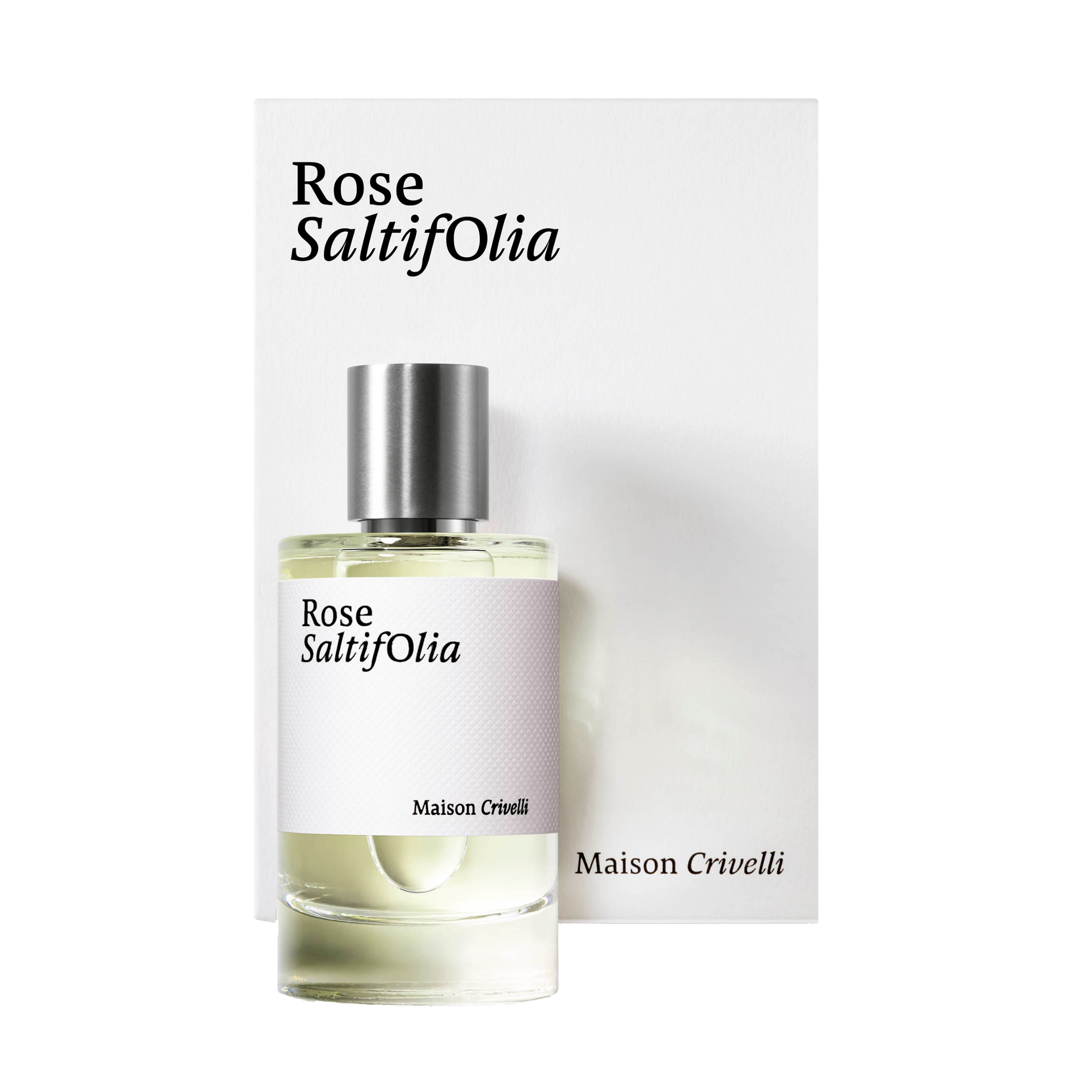 Rose Saltifolia